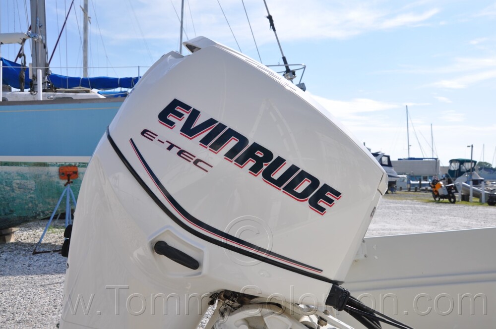 1987 Boston Whaler 17' Montauk - 237
