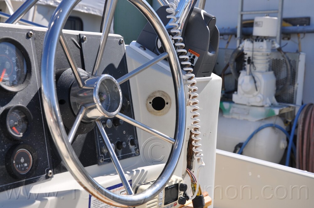 1987 Boston Whaler 17' Montauk - 348