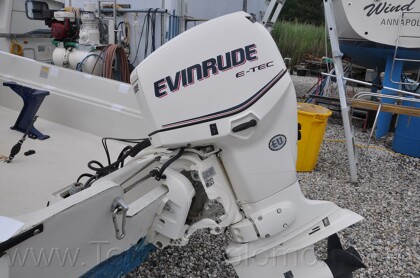 1987 Boston Whaler 17' Montauk - 90