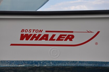 1987 Boston Whaler 17' Montauk - 92