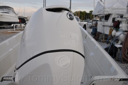 1987 Boston Whaler 17' Montauk - 101