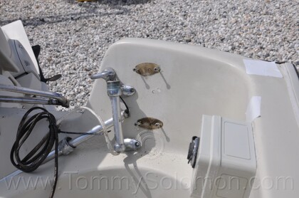 1987 Boston Whaler 17' Montauk - 117