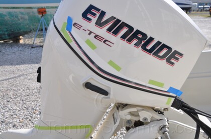 1987 Boston Whaler 17' Montauk - 232