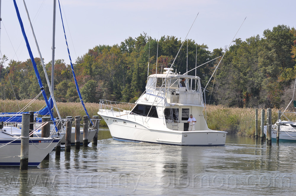 46' Hatteras HP Convertible-1983 "Magic Hat" - 770