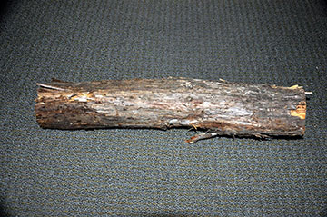 Hand Carved Cedar - Before
