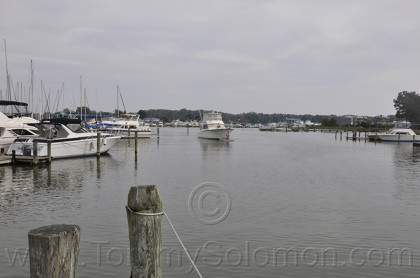 46' Hatteras HP Convertible-1983 "Magic Hat" - 737