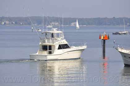 46' Hatteras HP Convertible-1983 "Magic Hat" - 772