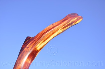 Hand Carved Cedar #-11, Boiled Linseed Oil Rub - 7