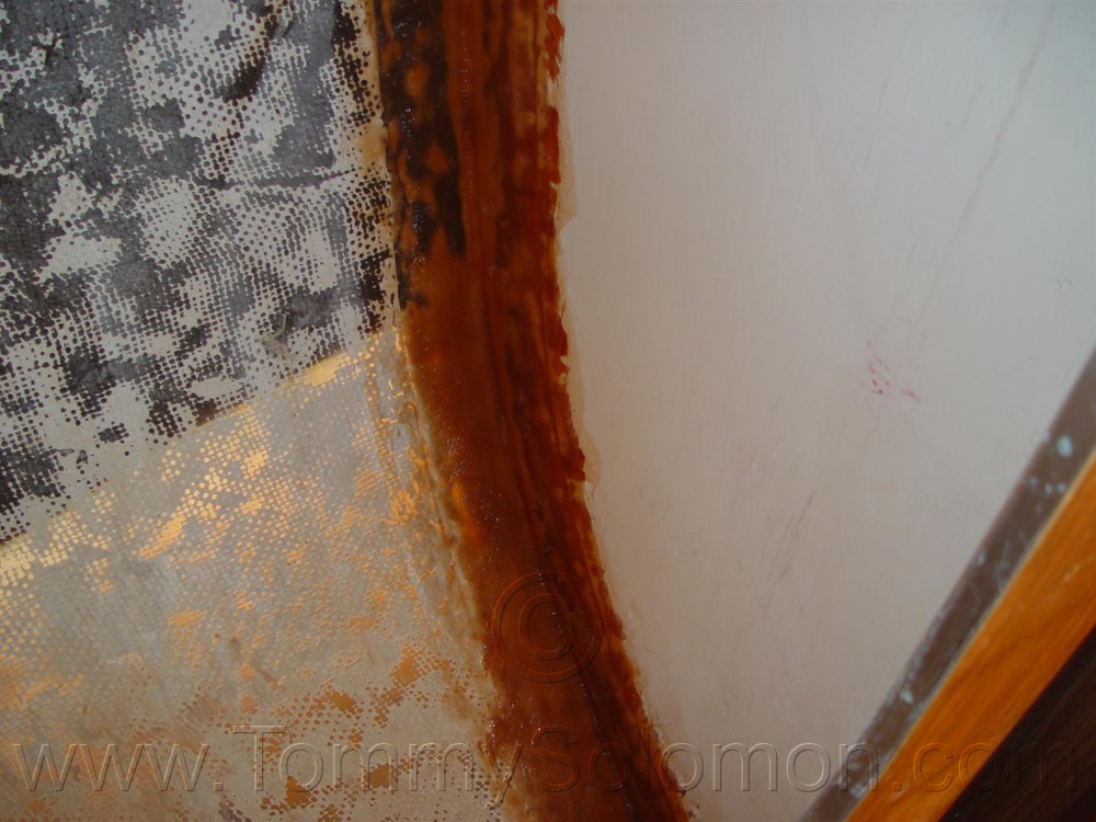 Jeff Hickman Peel/Laminate 1708 X2, W/8084 after lightning strike - 84